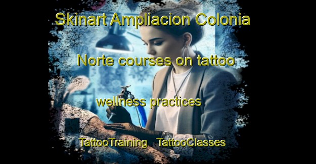 Skinart Ampliacion Colonia Norte courses on tattoo wellness practices | TattooTraining | TattooClasses | SkinartTraining - Mexico