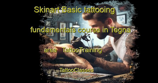 Skinart Basic tattooing fundamentals course in Tegna area | TattooTraining | TattooClasses | SkinartTraining - India