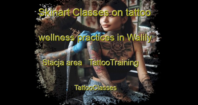 Skinart Classes on tattoo wellness practices in Walily Stacja area | TattooTraining | TattooClasses | SkinartTraining - Poland