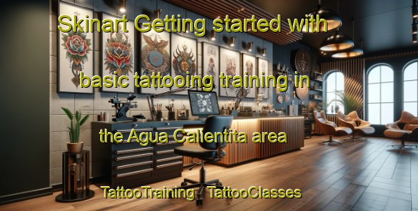 Skinart Getting started with basic tattooing training in the Agua Calientita area | TattooTraining | TattooClasses | SkinartTraining - Mexico