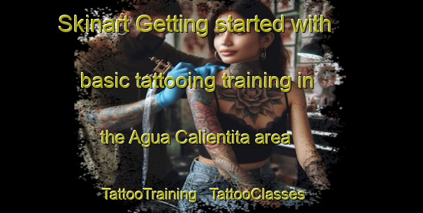 Skinart Getting started with basic tattooing training in the Agua Calientita area | TattooTraining | TattooClasses | SkinartTraining - Mexico