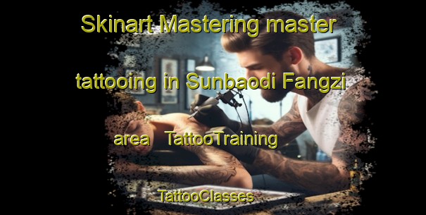 Skinart Mastering master tattooing in Sunbaodi Fangzi area | TattooTraining | TattooClasses | SkinartTraining - China