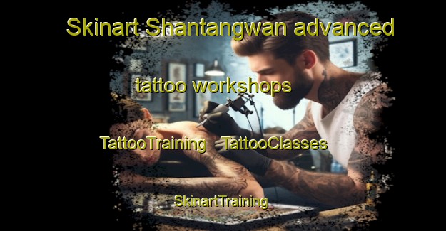 Skinart Shantangwan advanced tattoo workshops | TattooTraining | TattooClasses | SkinartTraining - China